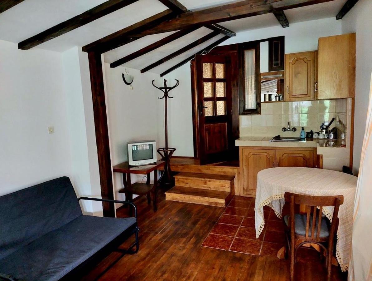 Luylyana Guesthouse Ribarica Ngoại thất bức ảnh
