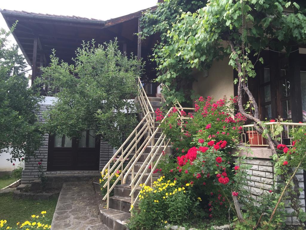 Luylyana Guesthouse Ribarica Ngoại thất bức ảnh