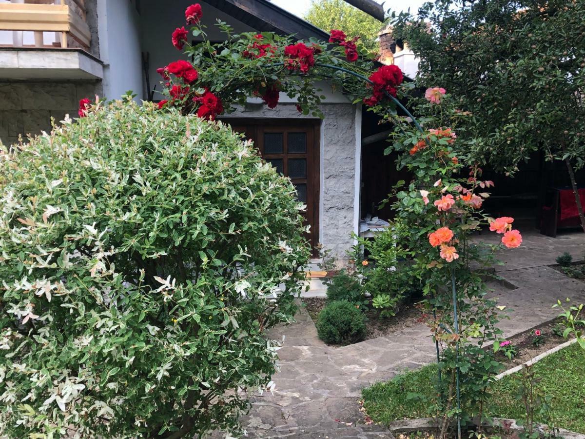Luylyana Guesthouse Ribarica Ngoại thất bức ảnh