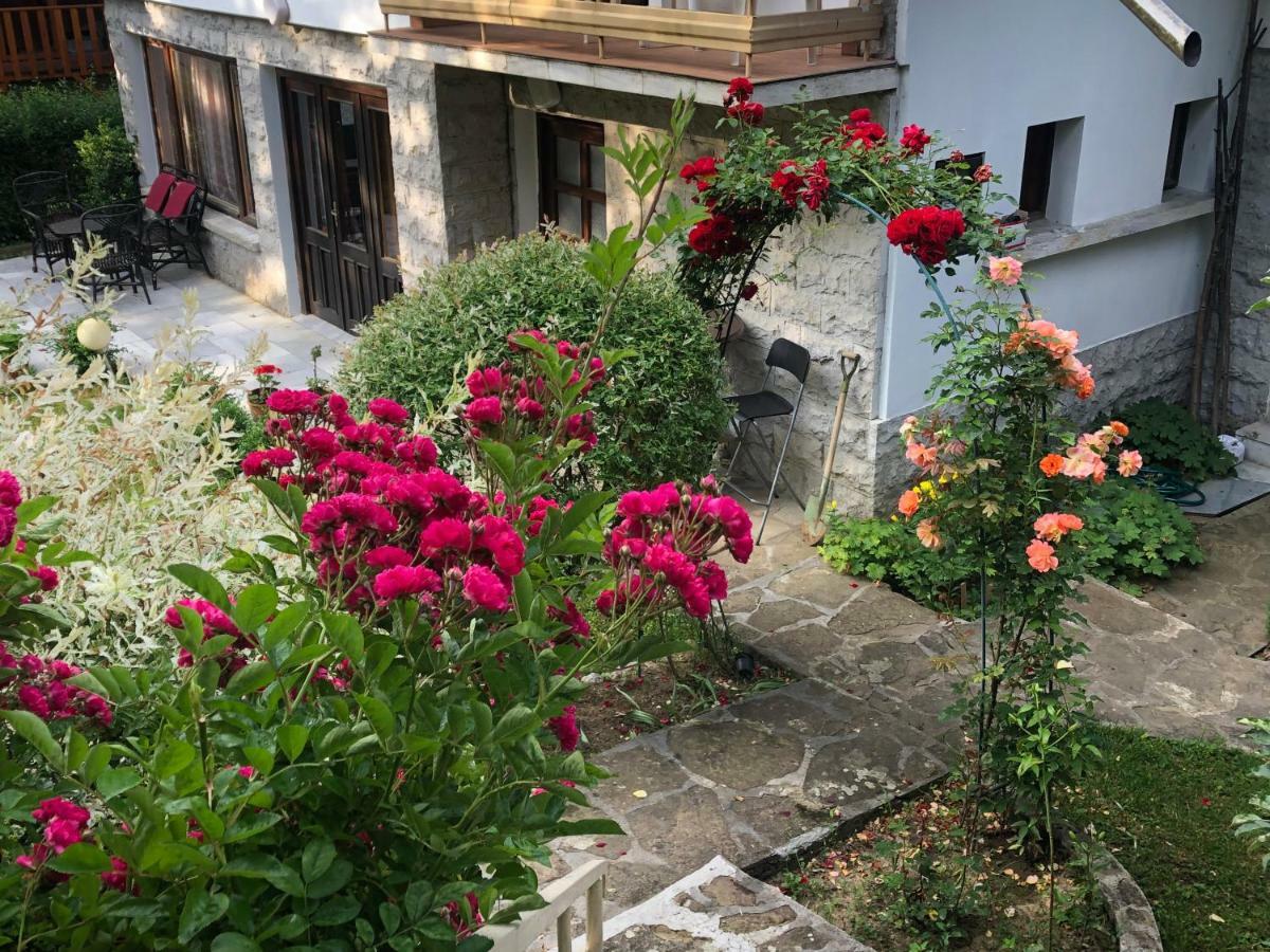 Luylyana Guesthouse Ribarica Ngoại thất bức ảnh