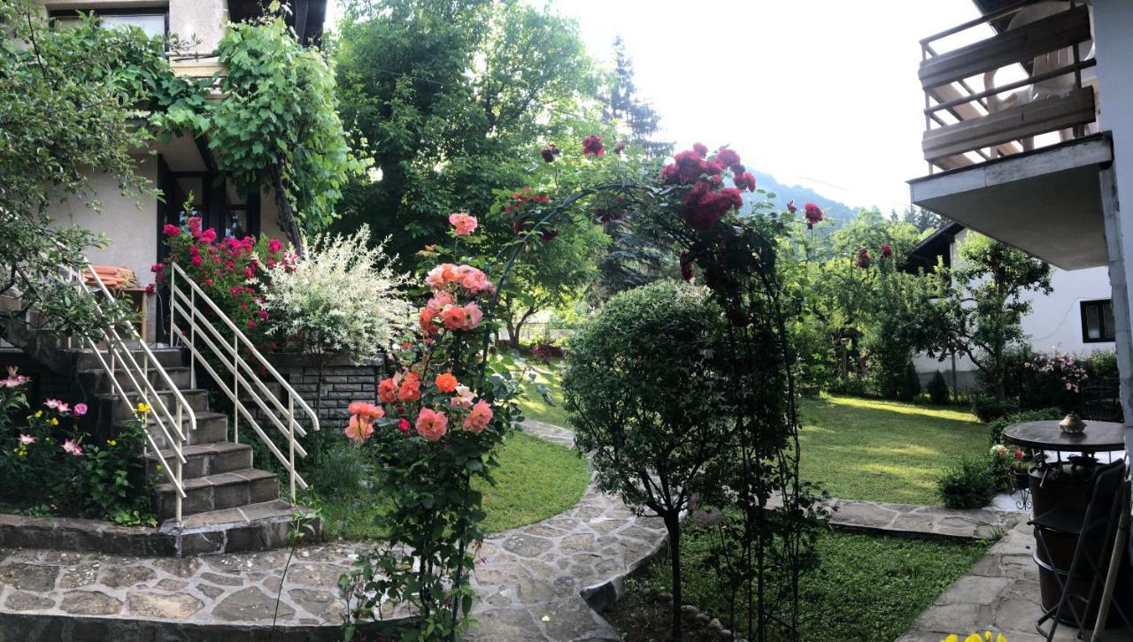 Luylyana Guesthouse Ribarica Ngoại thất bức ảnh