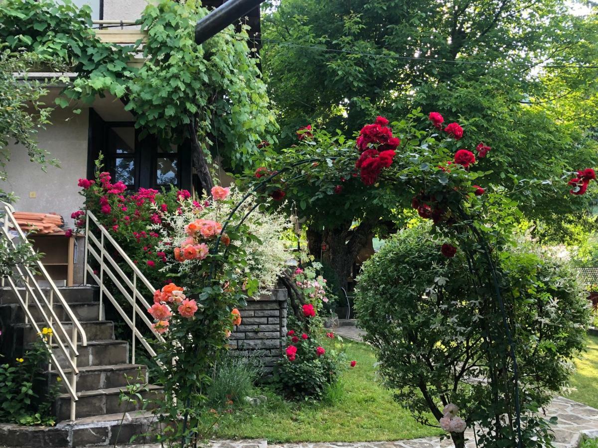 Luylyana Guesthouse Ribarica Ngoại thất bức ảnh